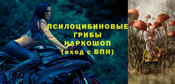 герыч Козловка