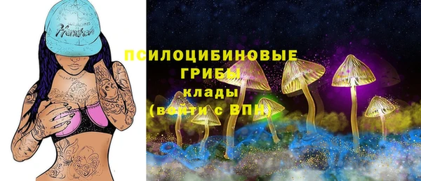 эйфоретик Кодинск