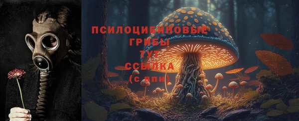 COCAINE Козельск