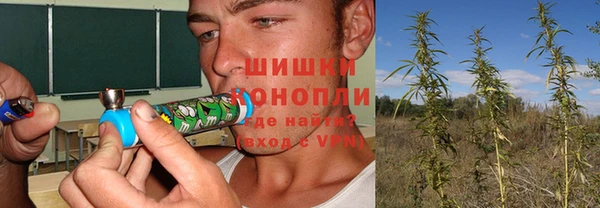 эйфоретик Кодинск