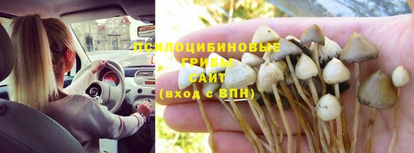 герыч Козловка